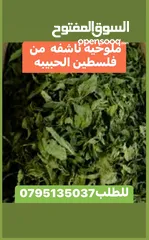  11 جبنه نابلسيه غنم ومعمول وكعك ودحدح وهريسه وكيك ومكدوس وورق عنب وملوخيه ودبس رمان وخروب  وعسل وزيتون
