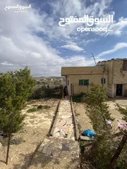  4 أرض مساحة 6دونمات مع بيت 230 متر