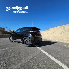  14 BYD سيكال 2024 شكل 2025
