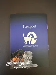  14 كلب مالتيز (فرنش تيرير) للبيع او البدل عمره 9 شهور