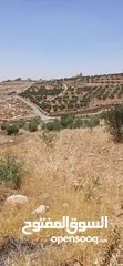  4 قطعة أرض للبيع من المالك مباشرة بسعر خيالي ناعور / ابو الغزلان مساحة 20دونم
