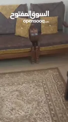  6 طقم مورس للبيع