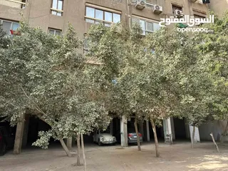  17 شقة مفروشة للبيع في القاهرة ( المعادي )