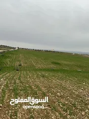  1 ارض مفروزه للبيع لكامل القطعه
