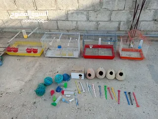  4 اقفاس عصافير مع أغراض عشوش فخارات اصابع مشارب أقرأ الوصف