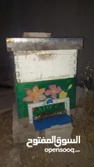  5 عسل طبيعي جدا 100%