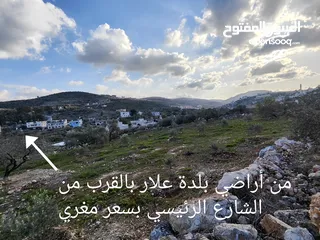  1 4186 متر كوشان نظيف للبيع بسعر مغري