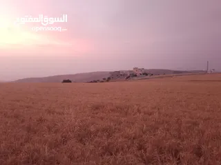  17 مادبا ماعين المشرفة قطعة ارض زراعية مميزة واصل الخدمات ذات اطلالة على البحر الميت واصل الخدمات