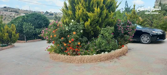 9 مزرعة وفلة للبيع بموقع ممتاز