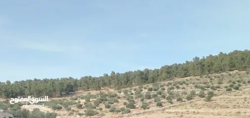  2 ارض مميزه لليع