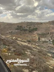  8 ارض للبيع في دورا كوشان طابو امكانيات البدل على سيارة