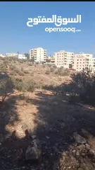  1 أرض سكني للبيع في سما الروسان