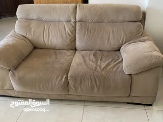  1 كنب دب امريكي للبيع