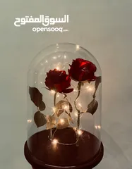  2 Flower rose dome
