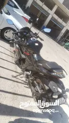  9 جكسر 2021 150سيسي مرخص شهر 7 ممشا 120 الف