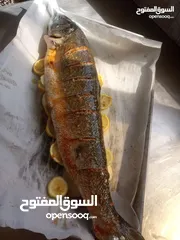  29 شيف طباخ شرقي وغربي وسلطات ابحث عن عمل خبره في الاكل العربي ابحث عن عمل