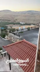  30 مزرعة ابو احمد البلوطي