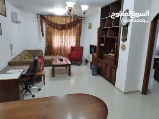  7 شقه مفروشه في عين منجد