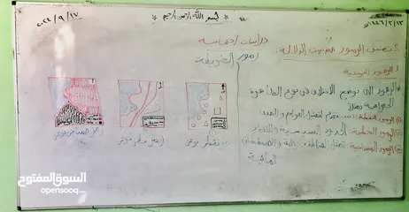  11 معلم لغة عربية واسلامية ودراسات اجتماعية وجغرافيا وتاريخ