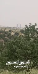  1 قطعه ارض مميزه جدا لاصحاب مشاريع الفلل منطقه بلال  راس خلف بالقرب من دابوق