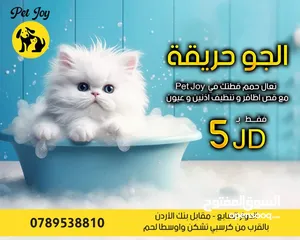  1 حمام قطط و كلاب خدمة احترافية حمامممم العيددد