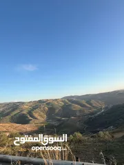  4 ارض للبيع جرش المجدل راس دبوس مطله على سد الملك طلال مساحة 3000متر بسعر مغري جداااااا