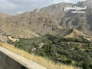  1 مرشد سياحي بسياره خاصه في سلطنة عمان