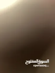  1 متاح جوز حسون تحتو فراخ الجوز اول بطن الجوز فراخ عش التسليم الجبيهة