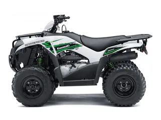  5 Kawasaki BRUTE FORCE 300