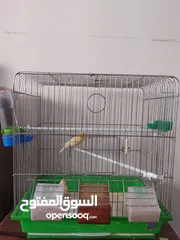  1 ذكريات كنار للبيع