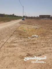  6 ارض للبيع في المفرق