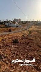  4 مزرعة للبيع في بلعما الزنية 5 دونم قوشان مستقل