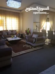  1 شقة مفروشة للبيع او للايجار
