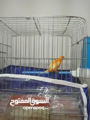  9 مطاير للبيع