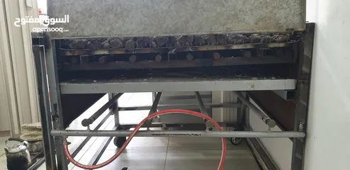  1 جرل شوي على الحجر