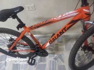  6 بسكليت جنط 26 النوع GALANT الأصلي الامريكي جديد