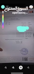  5 هيونداي  ايونك 2019 فحص كامل للبيع كاش فقط