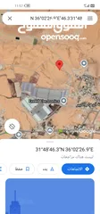  2 ارض للبيع بالموقر حوض ذهيبات النقيره بسعر مناسب