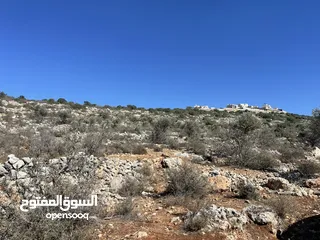  4 تملك قطعة ارض 5 دونم في اعلى جبال بني زيد طابو فلسطيني A والتنازل مباشرة