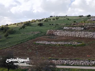  9 قطعه أرض في اجمل مواقع عجلون