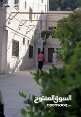  21 استديوهات فارغة ومفروشة مقابل البوابة الرئيسية للجامعة الاردنية بسعر مغري