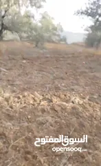  7 قطعة لرض للبيع