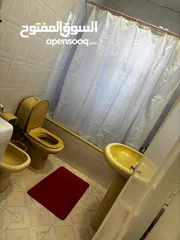  4 Furnished Apartment to Rent  ( Property 41440 )-174545522