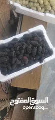  7 يوجد توت ابيض اسود