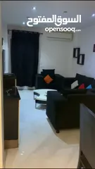  2 شقه مفروشه للايجار بالزمالك (السعر المكتوب بالدولار) - Furnished apartment for rent in Zamalek