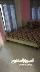  14 مزرعة للايجار اليومي  في الغور منطقه الجوفه بأسعار مناسبة وبدأت حجوزات عيد الاضحى المبارك