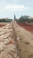  3 .حصان نخب اول قرائة الوصف