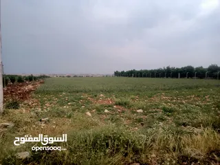  5 قطعة ارض مميزة للبيع مساحتها 3.600 م ع شارع الرئيس المطل ع سد الوحده قرقروش  بني كنانه قرية اليرموك