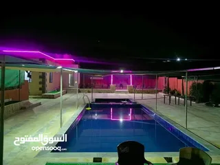  11 مزرعة وشاليه الباشا
