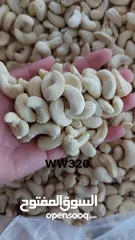  5 Wholesale of premium cashew nuts